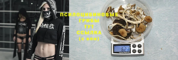 винт Абинск