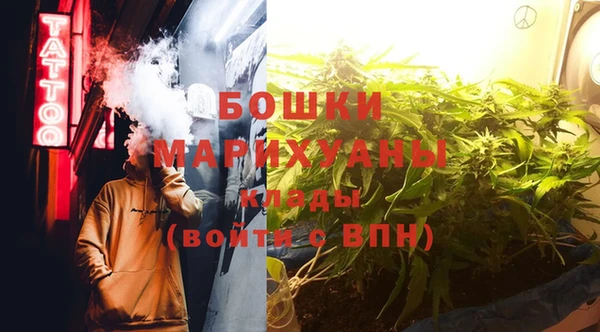дживик Абаза
