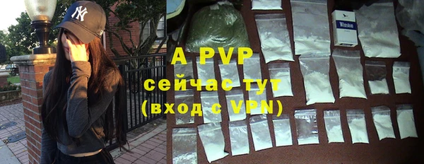 дживик Абаза