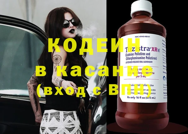 дживик Абаза