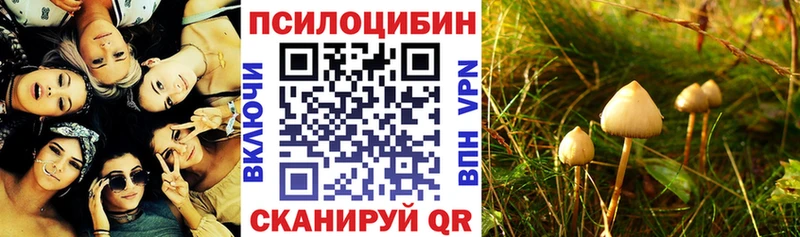 Галлюциногенные грибы мухоморы  кракен маркетплейс  Россошь 